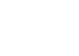 salesforce-logo-vector-png-salesforce-icon-png-50-px-png-svg-1600